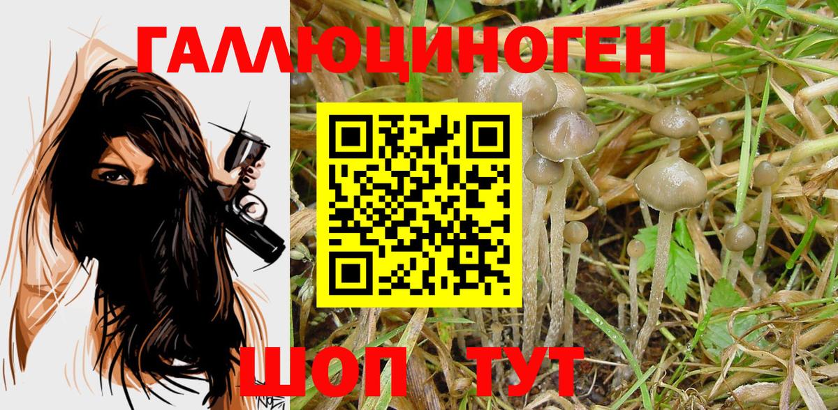 Людиново  Псилоцибиновые грибы Psilocybine cubensis  Вход с VPN  Галлюциногенные грибы ЛСД 